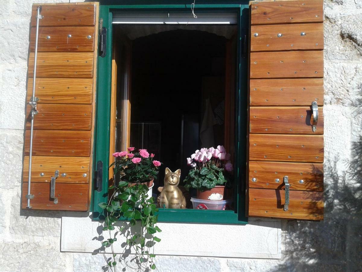 Small House Pivcevi 伯德古拉 外观 照片